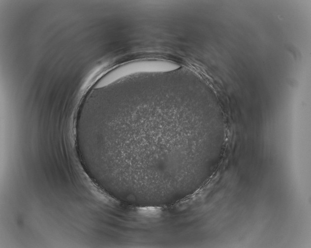 X0000111850053200908061323