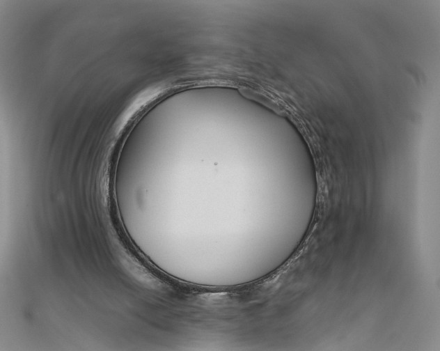 X0000111850054200908061323