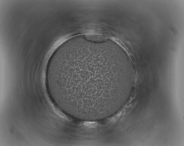 X0000111850055200908061323