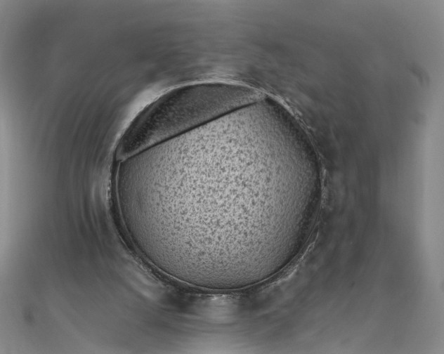 X0000111850056200908061323