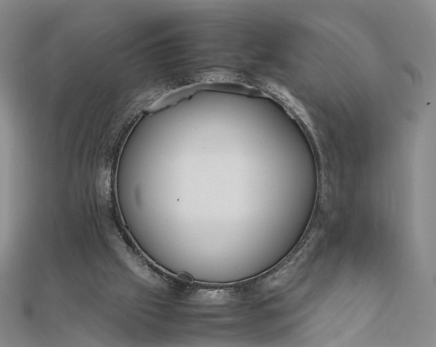 X0000111850057200908061323