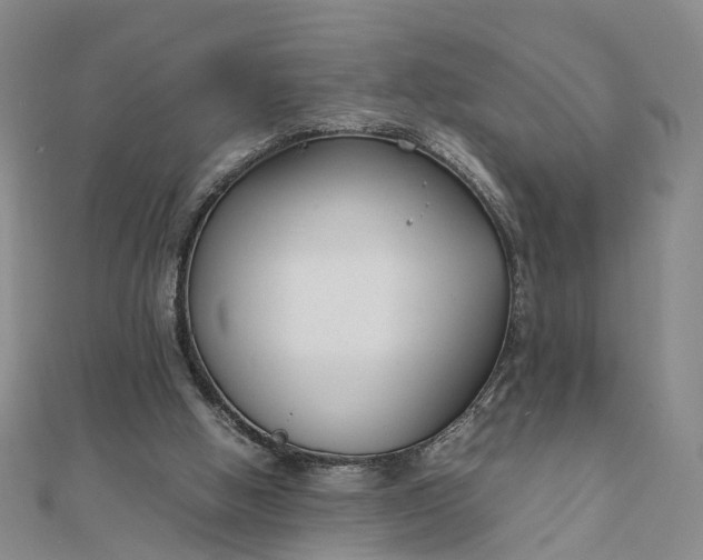 X0000111850058200908061323