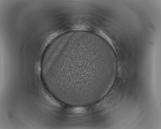 X0000111850059200908061323