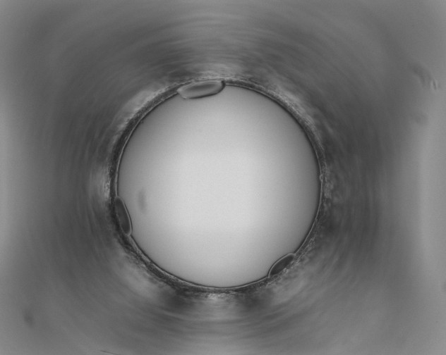 X0000111850060200908061323