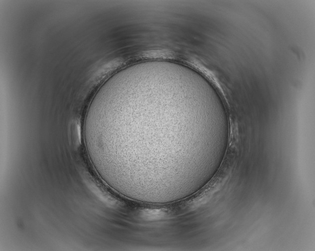 X0000111850061200908061323