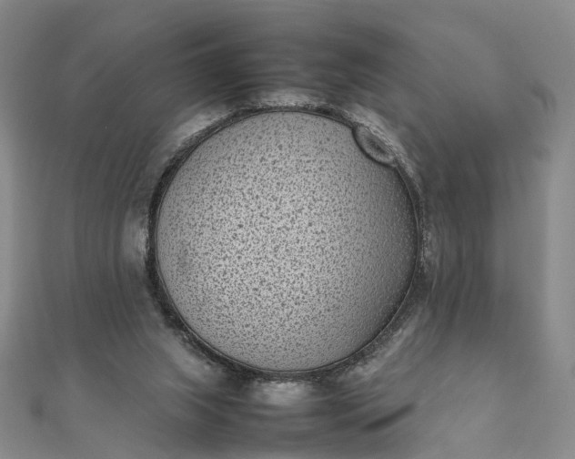 X0000111850063200908061323