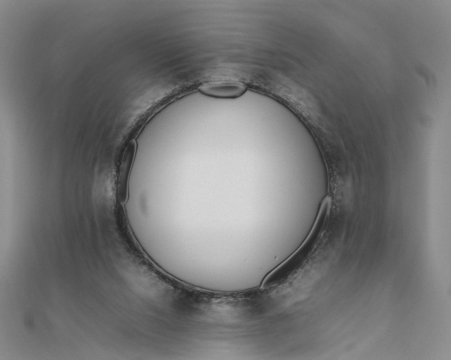 X0000111850064200908061323