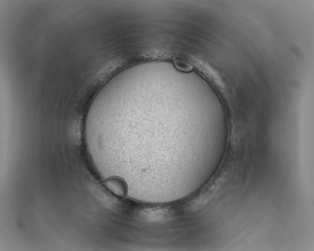 X0000111850065200908061323