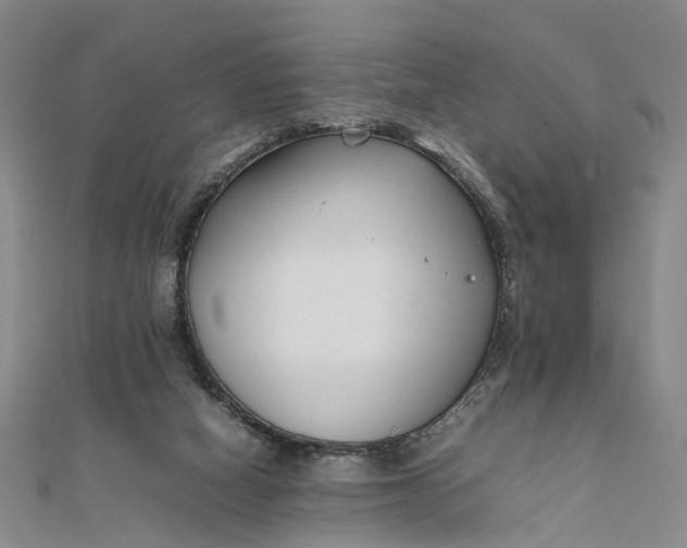 X0000111850066200908061323