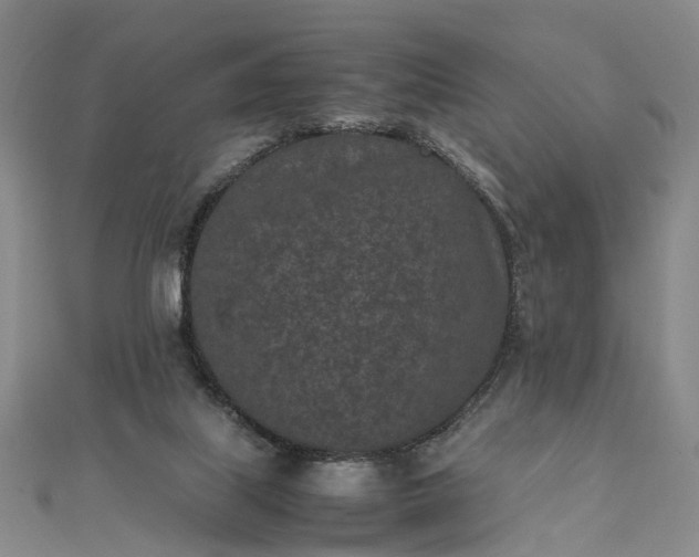 X0000111850067200908061323