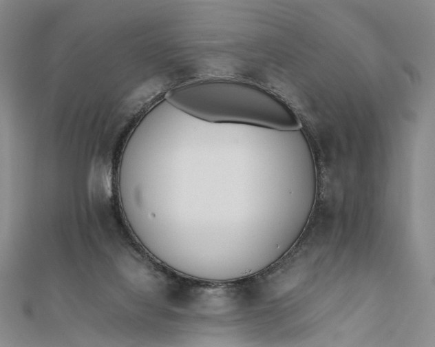 X0000111850068200908061323