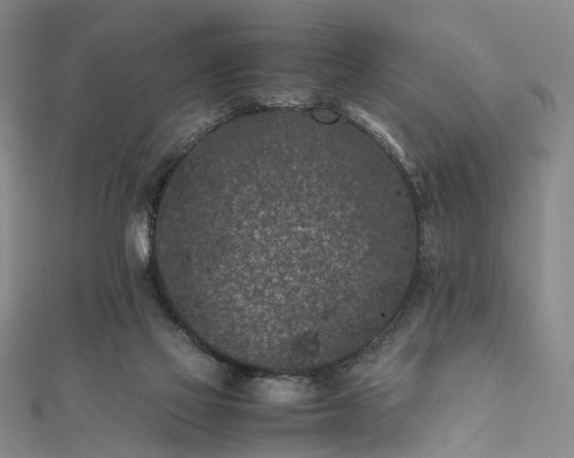 X0000111850069200908061323