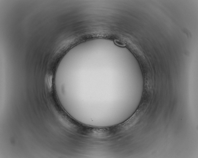 X0000111850070200908061323