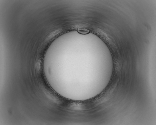 X0000111850071200908061323