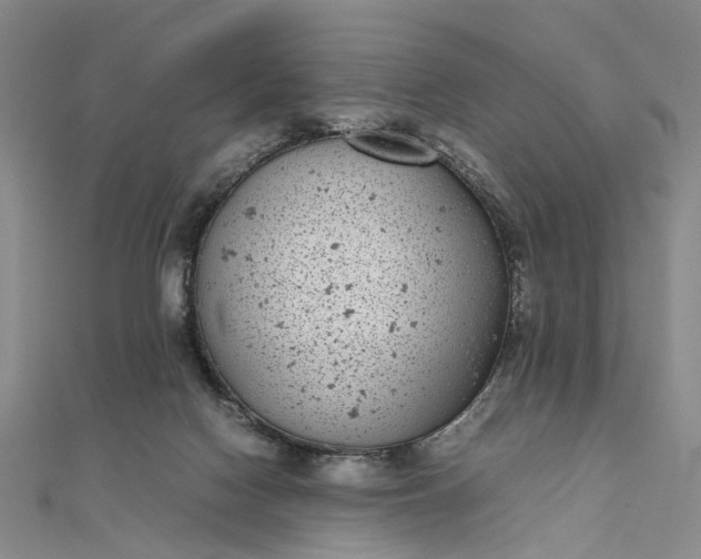 X0000111850074200908061323