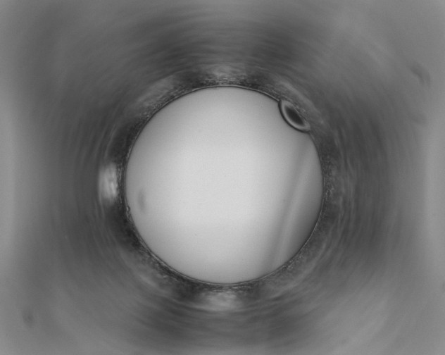 X0000111850075200908061323