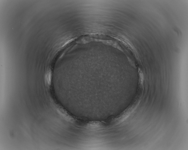 X0000111850076200908061323