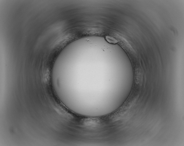 X0000111850077200908061323