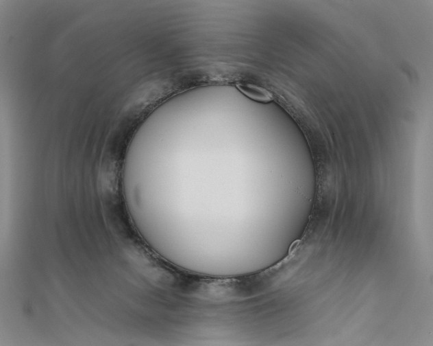 X0000111850078200908061323