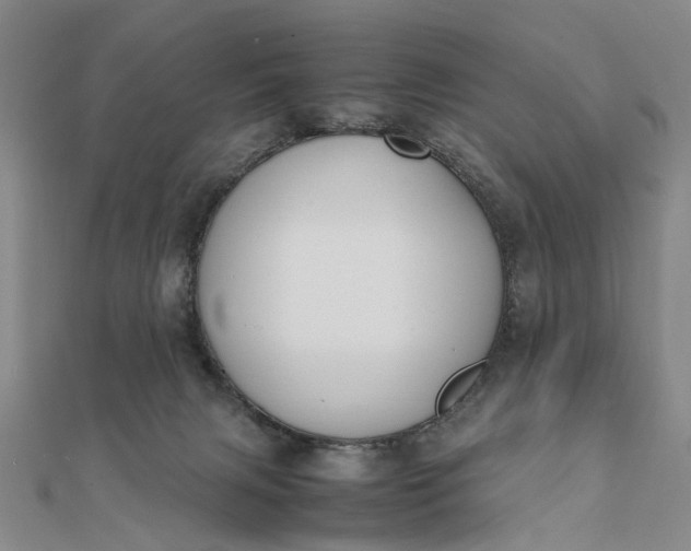 X0000111850079200908061323