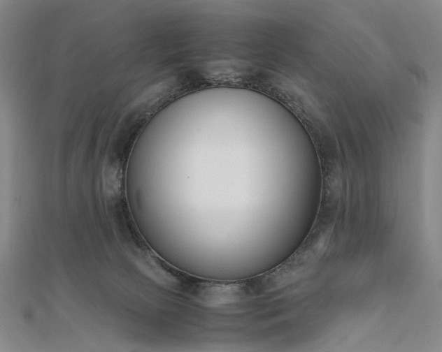 X0000111850081200908061323