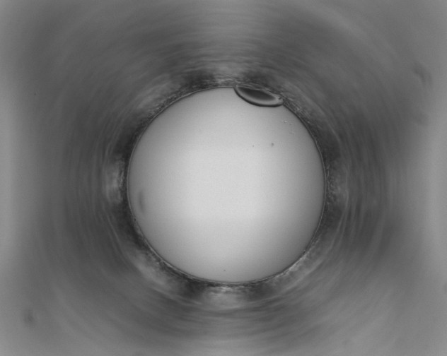 X0000111850082200908061323