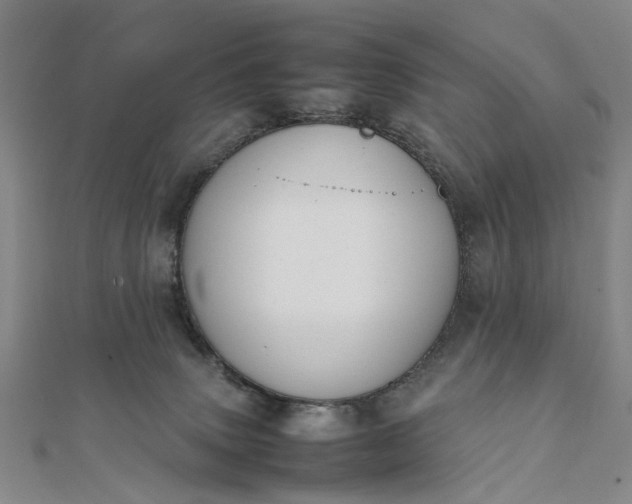 X0000111850083200908061323