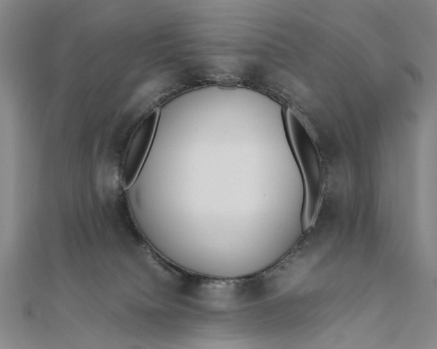 X0000111850084200908061323