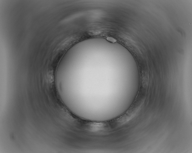 X0000111850085200908061323