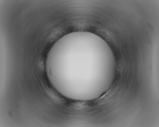 X0000111850086200908061323