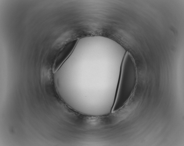 X0000111850088200908061323