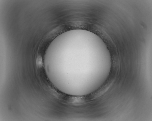 X0000111850089200908061323