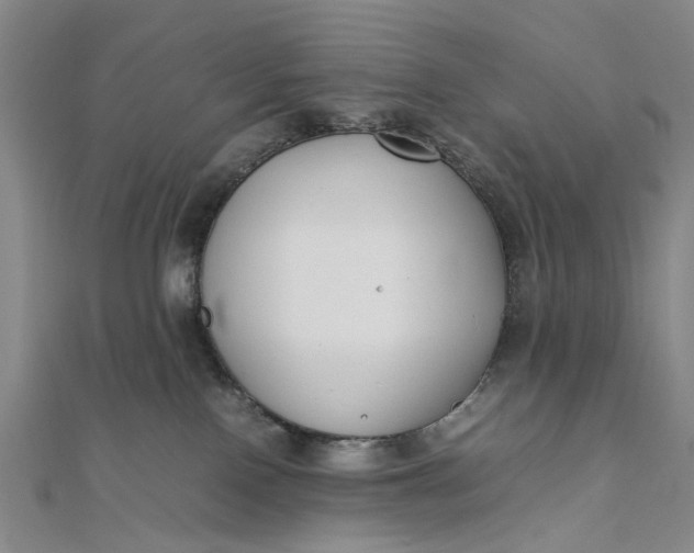 X0000111850090200908061323