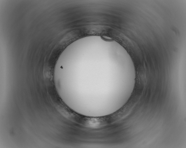 X0000111850091200908061323