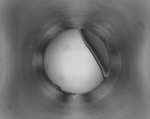 X0000111850092200908061323