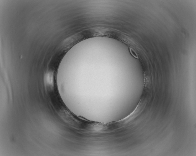 X0000111850094200908061324