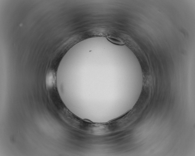 X0000111850095200908061324