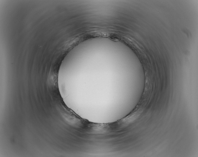 X0000111850096200908061324