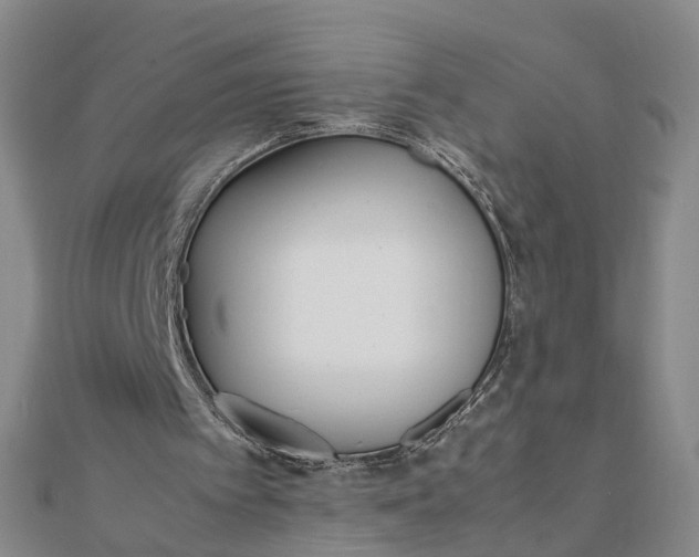 X0000111850097200908061323