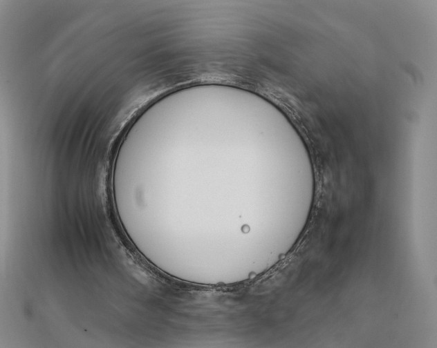 X0000111850098200908061323