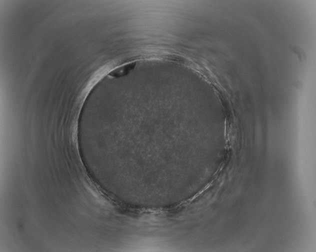 X0000111850099200908061323