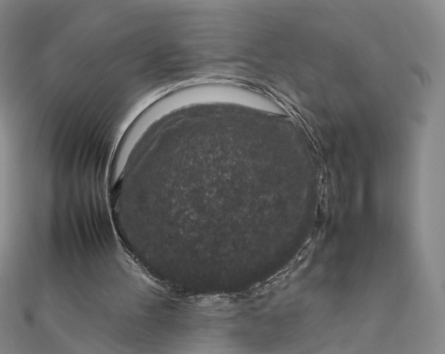 X0000111850100200908061323