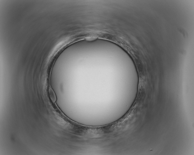 X0000111850101200908061323