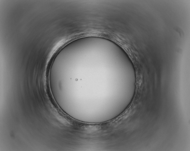 X0000111850102200908061323