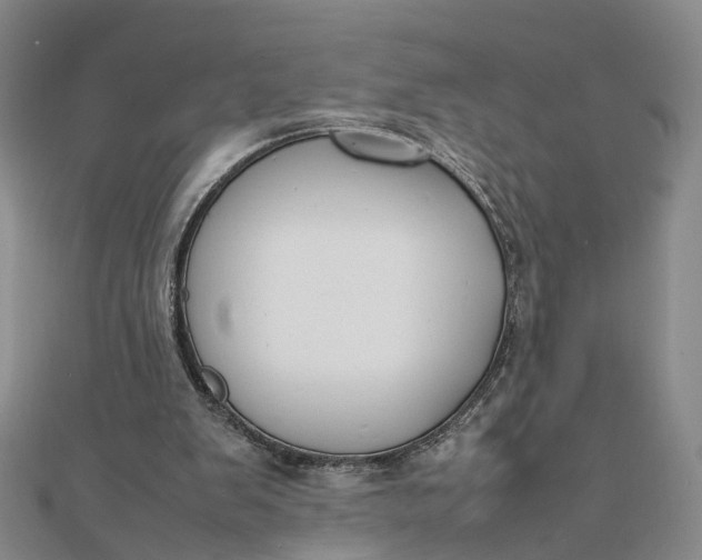 X0000111850103200908061323