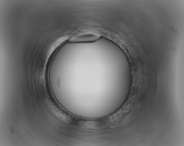 X0000111850104200908061323