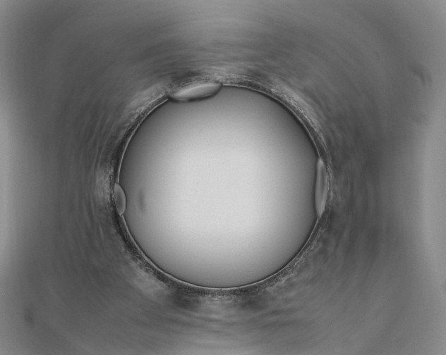 X0000111850105200908061323