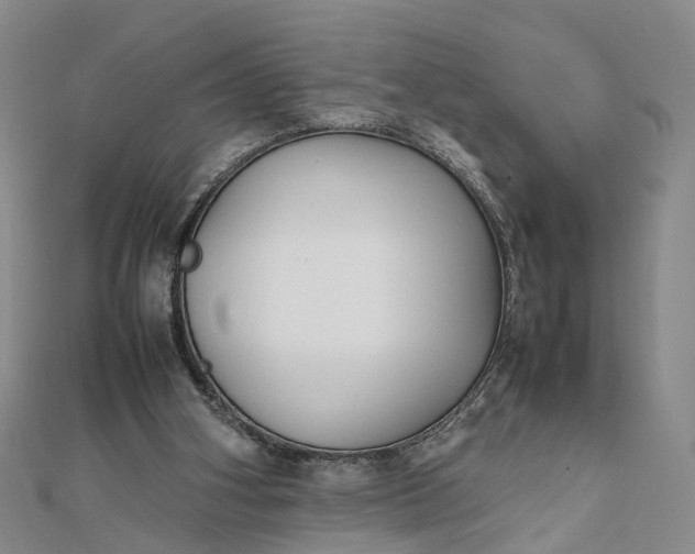 X0000111850106200908061323