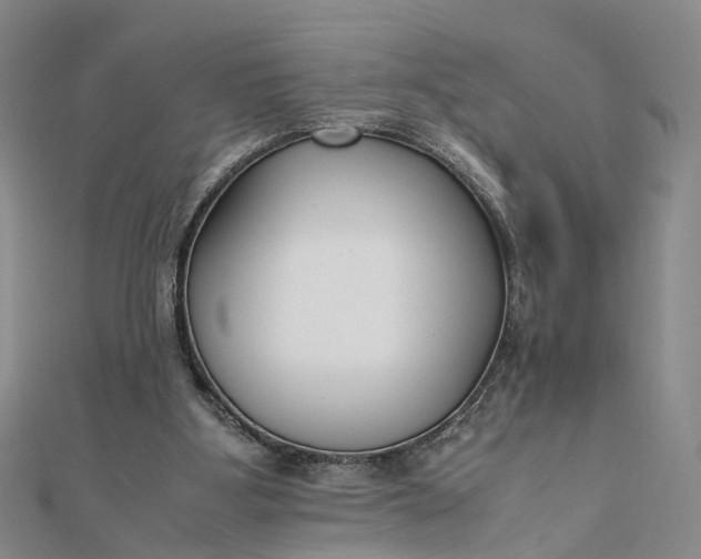 X0000111850107200908061323