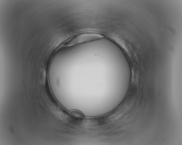 X0000111850109200908061323